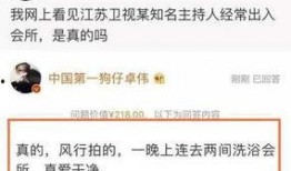 卓伟夫妻爆料视频播放大全,娱乐圈风云再起